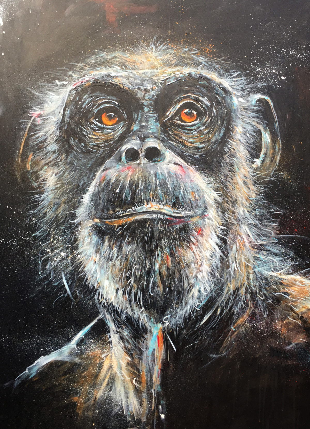 Chimpanzee Gaze by Artist Ewen Macaulay