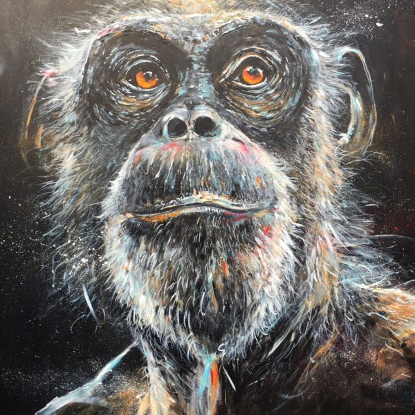 Chimpanzee Gaze by Artist Ewen Macaulay