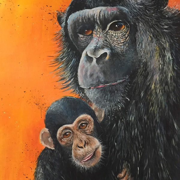 Ewen Macaulay Artist - Chimpanzees