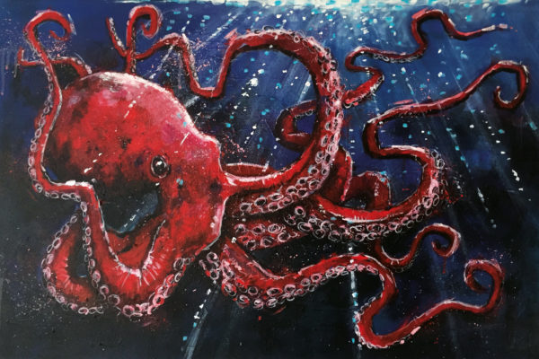 Ewen Macaulay Octopus