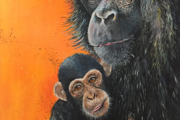 Ewen Macaulay Chimpanzees